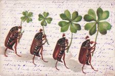 Ak Glückwunsch Pfingsten, Maikäfer mit Kleeblättern