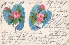 Litho Wenn aus zarten Blütenkelchen, Rosen, Vergissmeinnicht