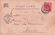 Schau dich besser um, das Kaninchen sitzt hinter dem Jäger.