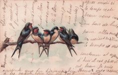 Glitzer-Perl-AK Sechs Schwalben auf einem Ast