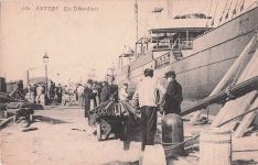 132 ANVERS Les Débardeurs