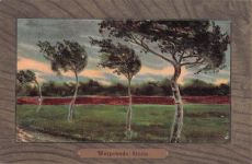 Künstler-Ansichtskarte Worpsweder Künstlerkolonie: Worpswede, Sturm