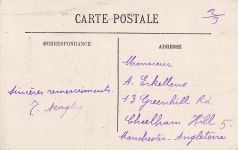 Alger Algerien La Cathedrale et le Palais d Hiver / Algier Algerien /