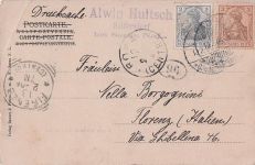 Sorau Eingang zum König. Wald. Liebold Eiche.