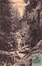 Wernigerode. Steinerne Renne.