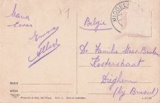 Ak Zuid-Beveland Zeeland Niederlande, Dame in niederländischer Tracht, Portrait