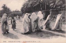 Ak Algerien, Haremsfrauen