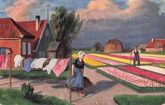Alte AK Gemäldekarte Wäscheleine Tulpen Holland