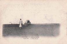 Série XII. 2. Dans les Sables Series XII. 2. The Desert