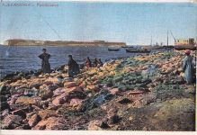 Alexandria. Festung. Postkarte