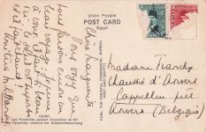 Cairo - The Pyramids of Gizeh during the Inundation of the Nile