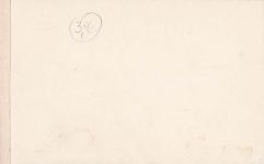 Mainau Dornauszieher Schlosspark Kat. Konstanz