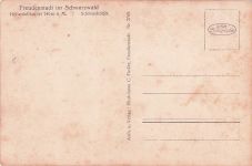 AK Freudenstadt, Blick vom Schöneck