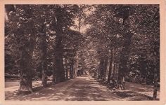 BADEN-BADEN Lichtentaler Allee