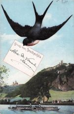 Gruss vom Drachenfels.