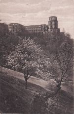 Ansichtskarte Heidelberg Neckar Schloss Scheffelterrasse Kat. Heidelberg