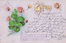 Marienkaefer Gruss aus