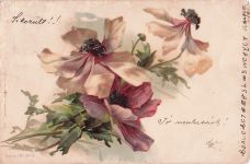 Künstler-AK Catharina Klein: Stillleben mit Anemonen in zarten Farben
