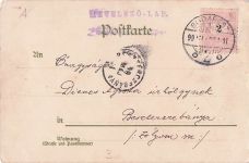 Künstler-AK Catharina Klein: Stillleben mit Anemonen in zarten Farben