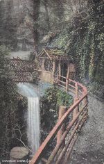 SHANKLIN CHINE. (ORW