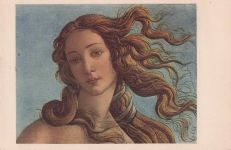 Die Geburt der Venus (Italienisch: Nascita di Venere). Der Zusatz „(dett.)
