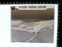 Münstertal/Schwarzwald