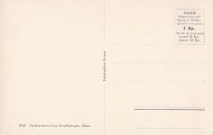Beckenried - Alter Nussbaum
