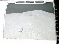 Jugenheim (bekannt durch das Schloss Heiligenberg)