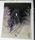 Burgruine Weißenstein