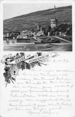 Ruedesheim Panorama Kat. Ruedesheim am Rhein