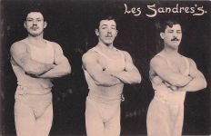 Les Sandres's