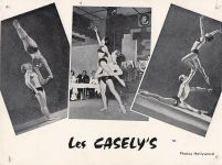 ALLIER - Vichy - Bellerive - 5, rue Ramin - Les Casely's