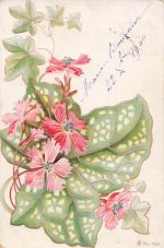 Strauß aus rosa-roten Geranien (Pelargonien)No. 7249“
