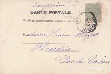 Strauß aus rosa-roten Geranien (Pelargonien)No. 7249“