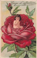 Herzlichste Glückwünsche , Mädchen mit roter Rose, geprägt, abgestempelt