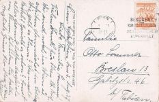 WIEN, Brand des Justizpalastes am 15.VII.1927