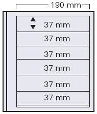 SAFE dual Blankoblatt mit 6 Streifen (5 Stück)