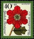 Bund, Michel Nr. 824 postfrisch - Weihnachten 1974