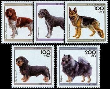 Bund, Michel Nr. 1797-1801 postfrisch - Hunde