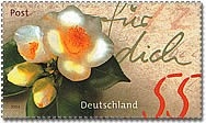 Bund, Michel Nr. 2414 postfrisch - Post - 2004 Kameliengruß