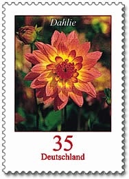 Bund, Michel Nr. 2505 postfrisch - Freimarken Blumen: Dahlie