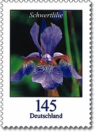 Bund, Michel Nr. 2507 postfrisch - Freimarken Blumen: 145 cent Schwertlilie