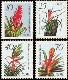 DDR, MiNr. 3149-3152 postfrisch - Bromelien