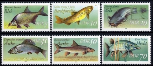 DDR, MiNr. 3095-3100 postfrisch - Fische - Süßwasserfische