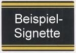 SAFE Signette 2005, 2006, 2007, 2008, 2009