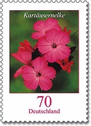 Bund, Michel Nr. 2529 postfrisch - Freimarken Blumen: 70 cent Karthäusernelke
