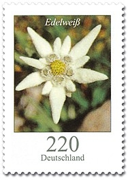 Bund, Michel Nr. 2530 postfrisch - Freimarken Blumen: 220 cent Edelweiß