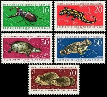DDR, MiNr. 978-982 postfrisch - Tiere / Insekten / Igel / Frosch
