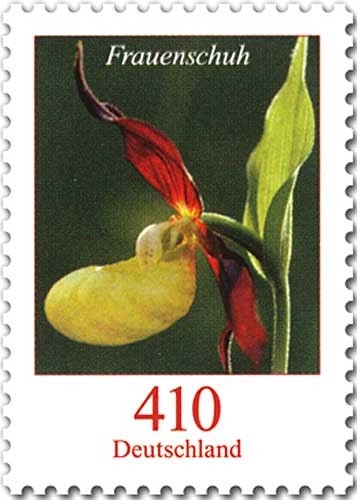 Bund, Michel Nr. 2768 postfrisch - Freimarken Blumen: 410 cent Frauenschuh