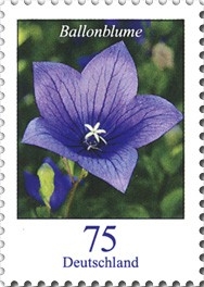 Bund, Michel Nr. 2835 postfrisch - Freimarke Blumen: 75 cent Ballonblume